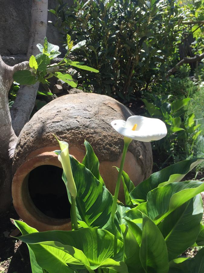 My Garden Hotel Тбилиси Екстериор снимка