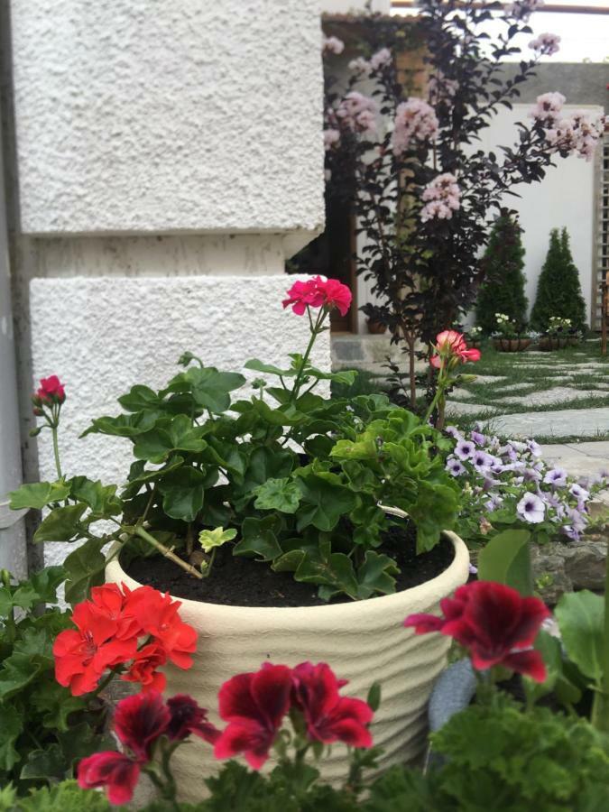 My Garden Hotel Тбилиси Екстериор снимка