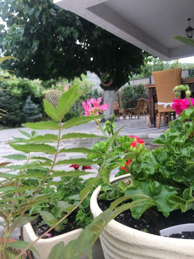 My Garden Hotel Тбилиси Екстериор снимка